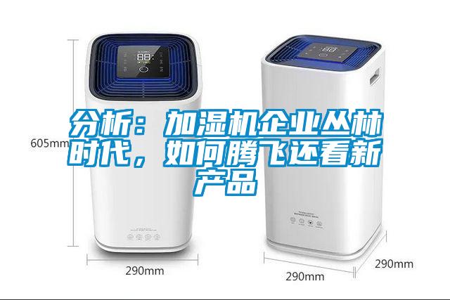 分析：加濕機企業叢林時代，如何騰飛還看新產品