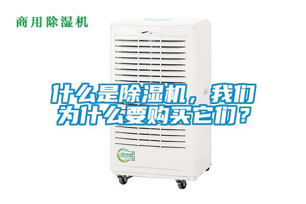 什么是除濕機，我們為什么要購買它們？