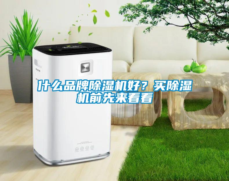 什么品牌除濕機(jī)好？買除濕機(jī)前先來看看