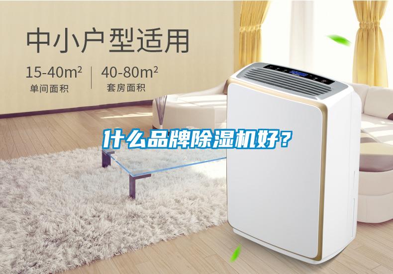 什么品牌除濕機(jī)好？