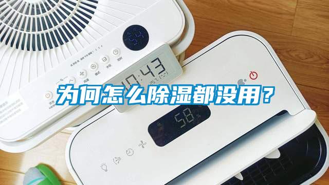 為何怎么除濕都沒用？