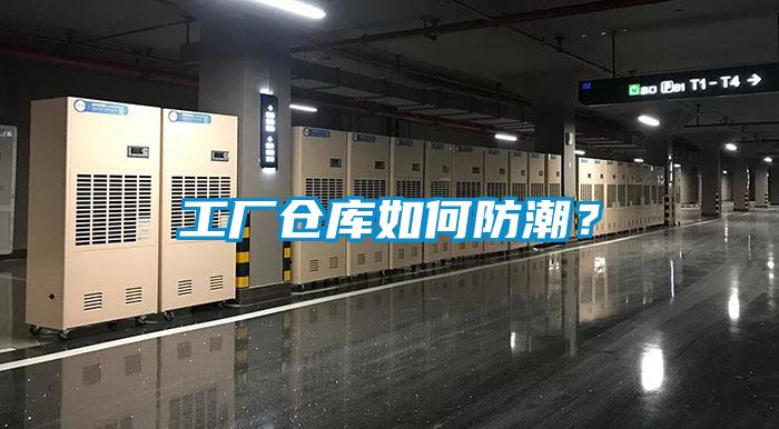 水力發電廠使用安詩曼除濕機擺脫潮濕煩惱