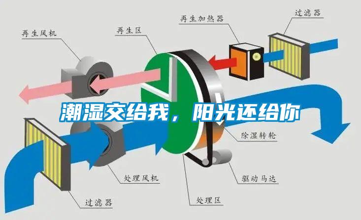 潮濕傷于無形，除濕機(jī)來防范