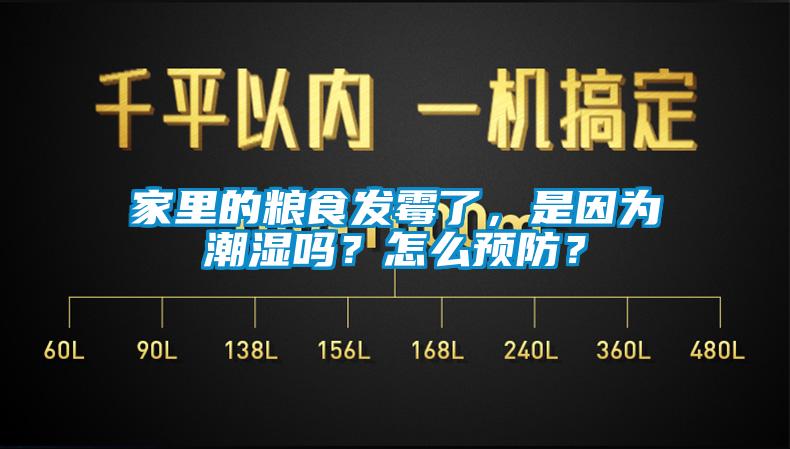 家里的糧食發(fā)霉了，是因?yàn)槌睗駟幔吭趺搭A(yù)防？