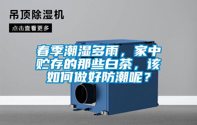 春季潮濕多雨，家中貯存的那些白茶，該如何做好防潮呢？