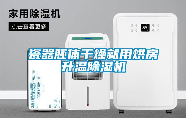 瓷器胚體干燥就用烘房升溫除濕機