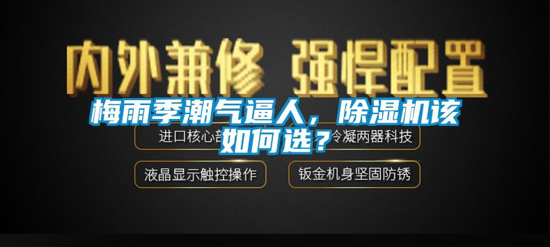 梅雨季潮氣逼人，除濕機該如何選？