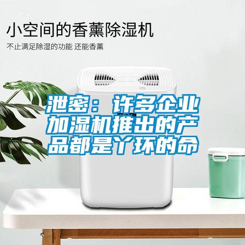 泄密：許多企業(yè)加濕機推出的產品都是丫環(huán)的命