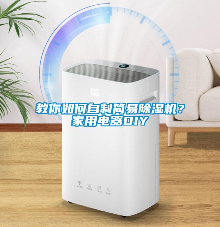 教你如何自制簡易除濕機？家用電器DIY