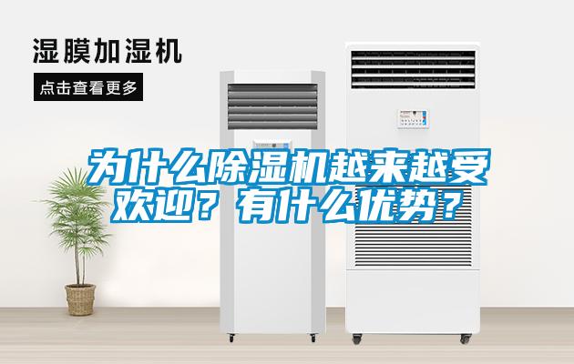 為什么除濕機(jī)越來越受歡迎？有什么優(yōu)勢(shì)？