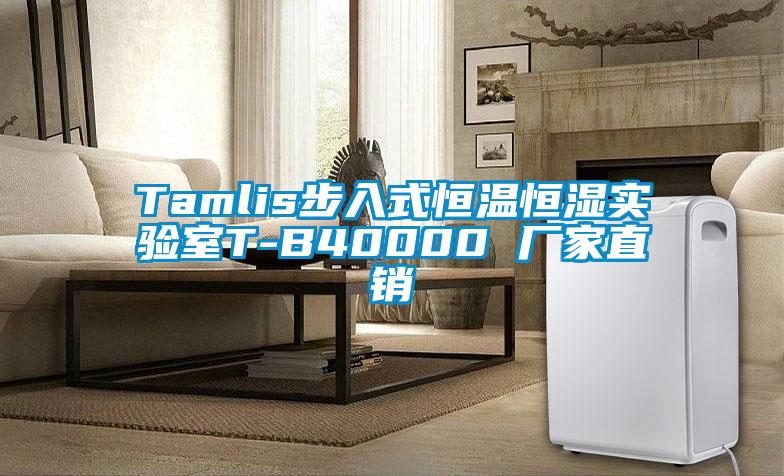 Tamlis步入式恒溫恒濕實驗室T-B40000 廠家直銷