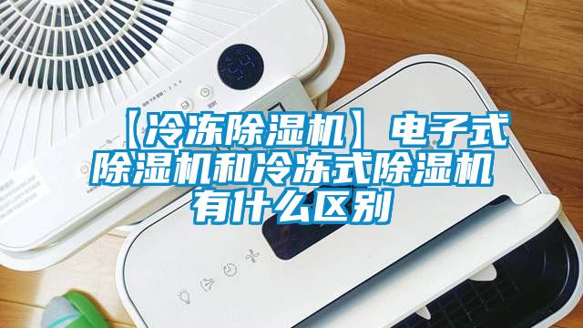 【冷凍除濕機】電子式除濕機和冷凍式除濕機有什么區別