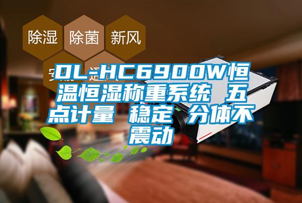 DL-HC6900W恒溫恒濕稱重系統 五點計量 穩定 分體不震動