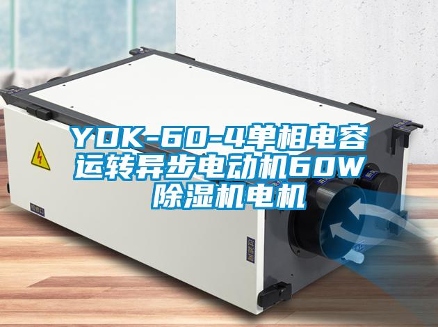 YDK-60-4單相電容運轉異步電動機60W 除濕機電機