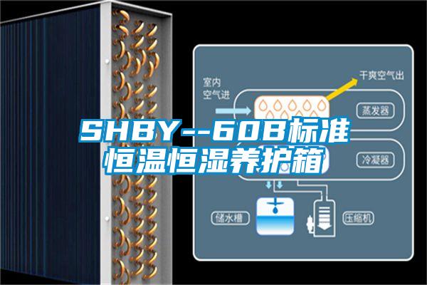 SHBY--60B標準恒溫恒濕養護箱