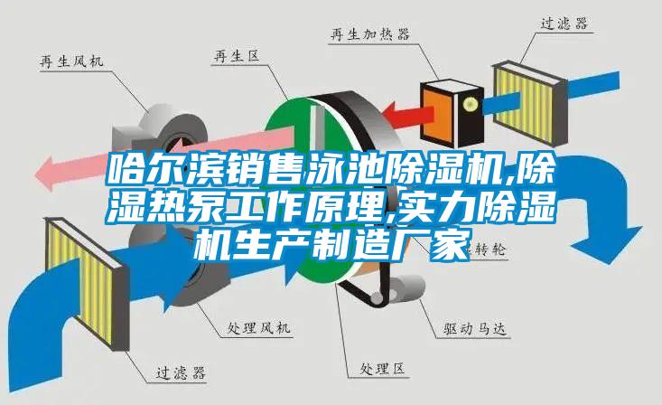 哈爾濱銷售泳池除濕機,除濕熱泵工作原理,實力除濕機生產制造廠家