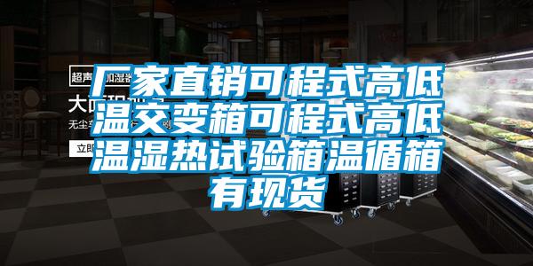 廠家直銷可程式高低溫交變箱可程式高低溫濕熱試驗箱溫循箱有現貨