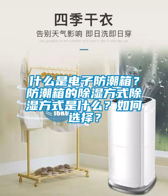 什么是電子防潮箱？防潮箱的除濕方式除濕方式是什么？如何選擇？