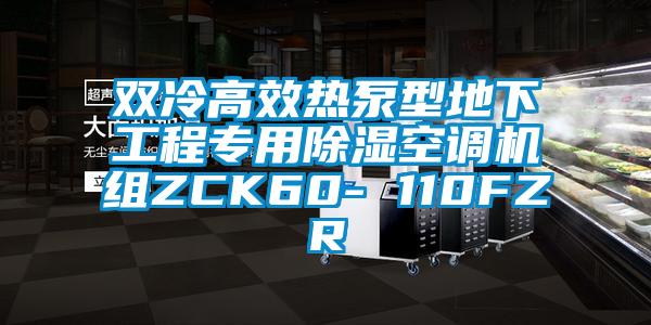 雙冷高效熱泵型地下工程專用除濕空調機組ZCK60- 110FZR