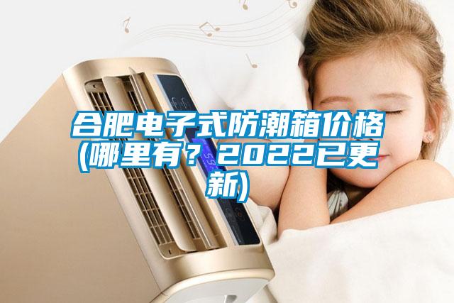 合肥電子式防潮箱價格(哪里有？2022已更新)