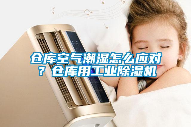 倉庫空氣潮濕怎么應對？倉庫用工業除濕機