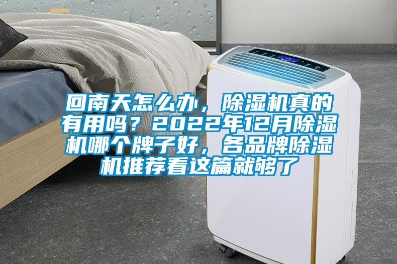 回南天怎么辦，除濕機真的有用嗎？2022年12月除濕機哪個牌子好，各品牌除濕機推薦看這篇就夠了