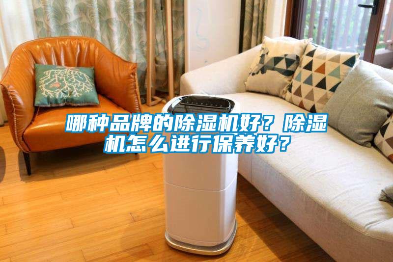 哪種品牌的除濕機好？除濕機怎么進行保養好？