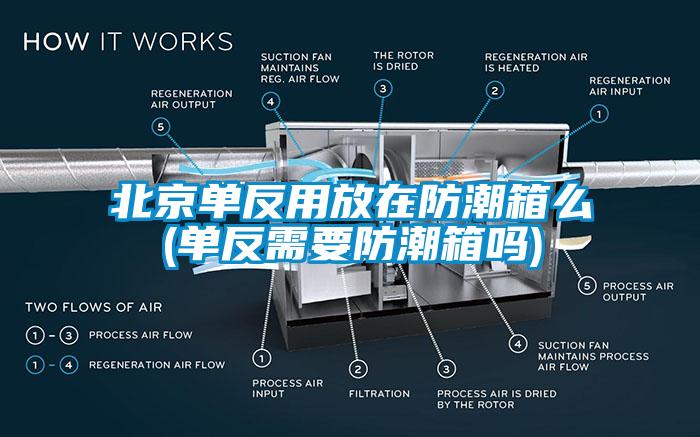 北京單反用放在防潮箱么(單反需要防潮箱嗎)