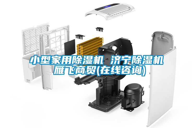 小型家用除濕機(jī) 濟(jì)寧除濕機(jī) 雁飛商貿(mào)(在線咨詢(xún))