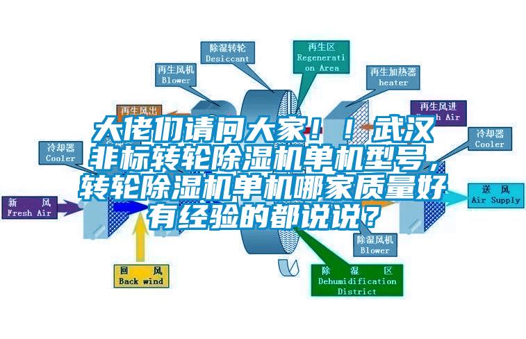 大佬們請問大家??！武漢非標轉輪除濕機單機型號，轉輪除濕機單機哪家質量好有經驗的都說說？