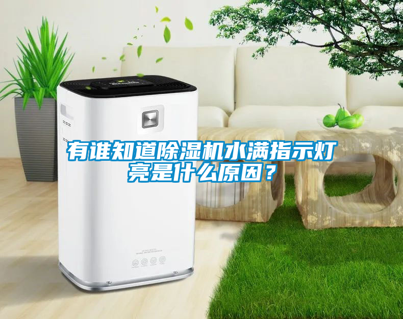 有誰知道除濕機水滿指示燈亮是什么原因？