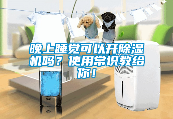 晚上睡覺可以開除濕機嗎？使用常識教給你！