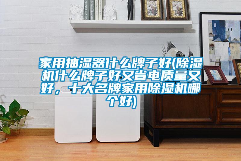 家用抽濕器什么牌子好(除濕機什么牌子好又省電質量又好，十大名牌家用除濕機哪個好)