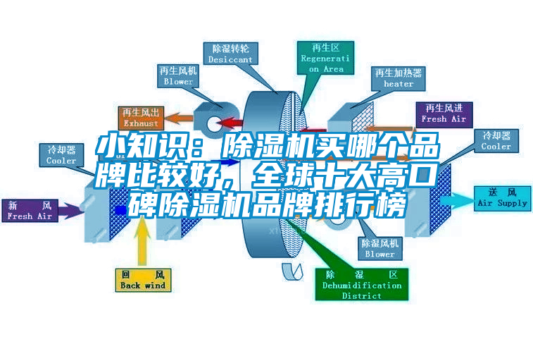 小知識(shí)：除濕機(jī)買哪個(gè)品牌比較好，全球十大高口碑除濕機(jī)品牌排行榜