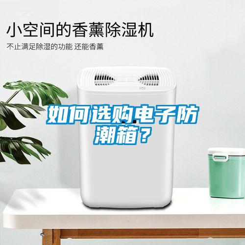 如何選購電子防潮箱？