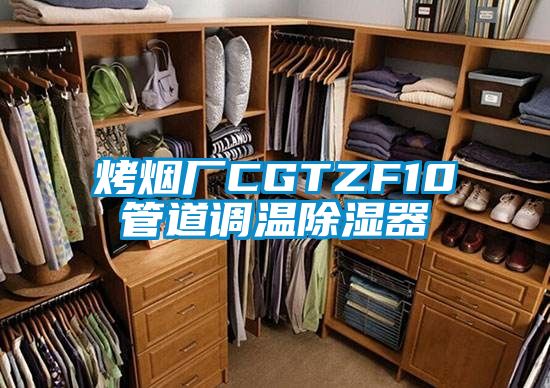 烤煙廠CGTZF10管道調溫除濕器