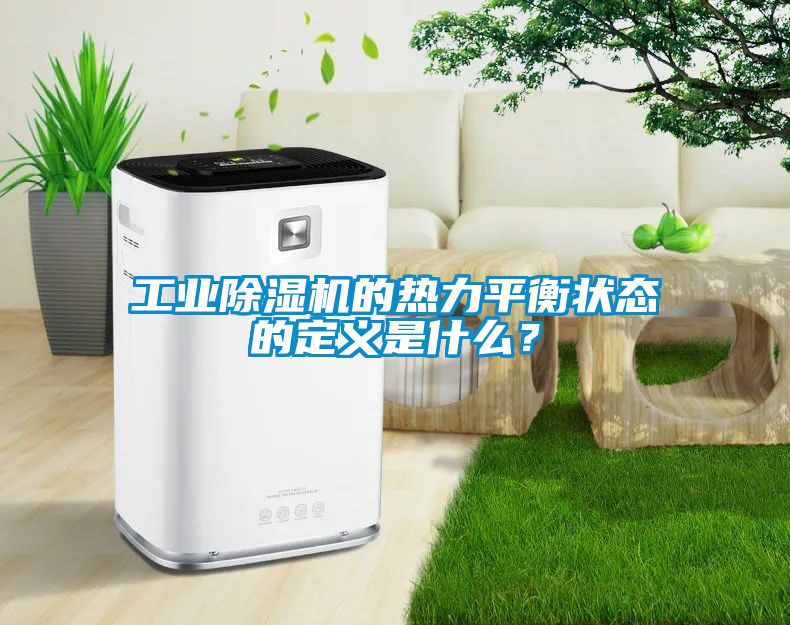 工業(yè)除濕機的熱力平衡狀態(tài)的定義是什么？