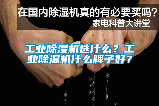 工業除濕機選什么？工業除濕機什么牌子好？