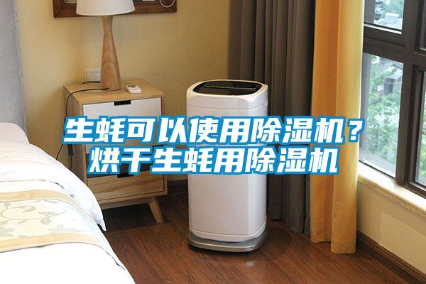 生蠔可以使用除濕機？烘干生蠔用除濕機