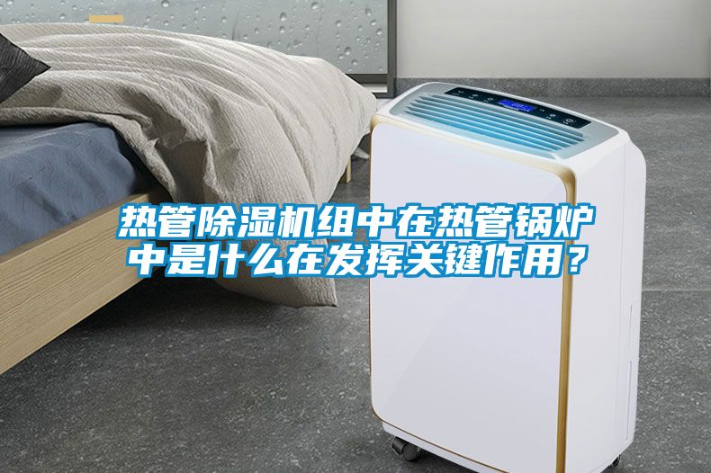 熱管除濕機組中在熱管鍋爐中是什么在發揮關鍵作用？