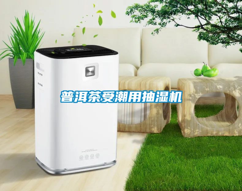 普洱茶受潮用抽濕機