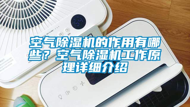 空氣除濕機的作用有哪些？空氣除濕機工作原理詳細(xì)介紹