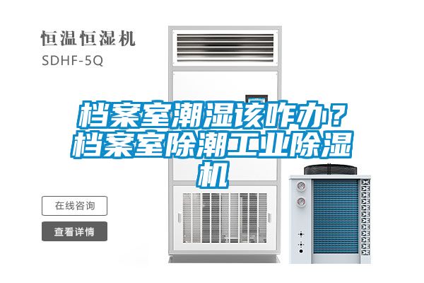 檔案室潮濕該咋辦？檔案室除潮工業除濕機