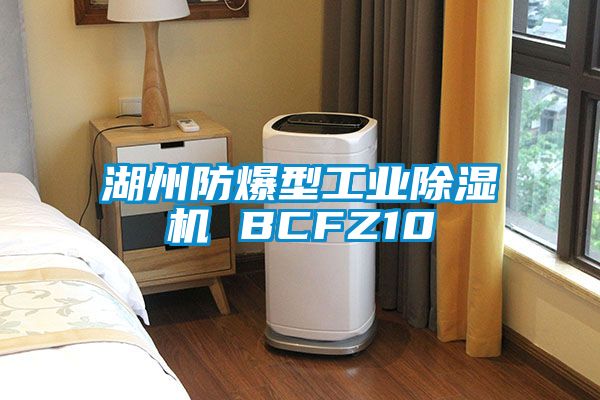 湖州防爆型工業除濕機 BCFZ10