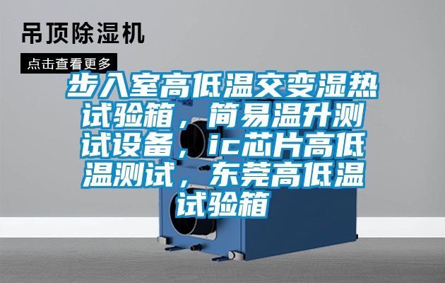 步入室高低溫交變濕熱試驗箱，簡易溫升測試設備，ic芯片高低溫測試，東莞高低溫試驗箱