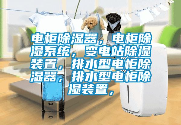 電柜除濕器，電柜除濕系統(tǒng)，變電站除濕裝置，排水型電柜除濕器，排水型電柜除濕裝置，