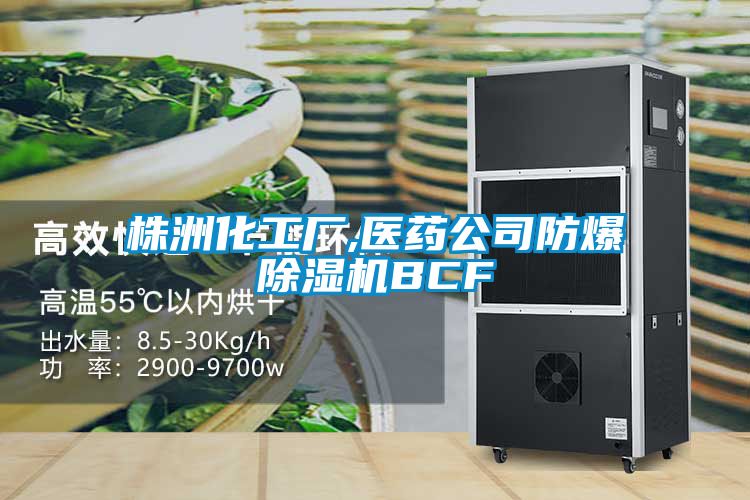 株洲化工廠(chǎng),醫(yī)藥公司防爆除濕機(jī)BCF