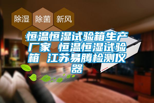 恒溫恒濕試驗箱生產廠家 恒溫恒濕試驗箱 江蘇易騰檢測儀器