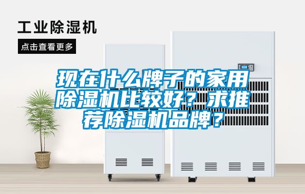 現在什么牌子的家用除濕機比較好？求推薦除濕機品牌？