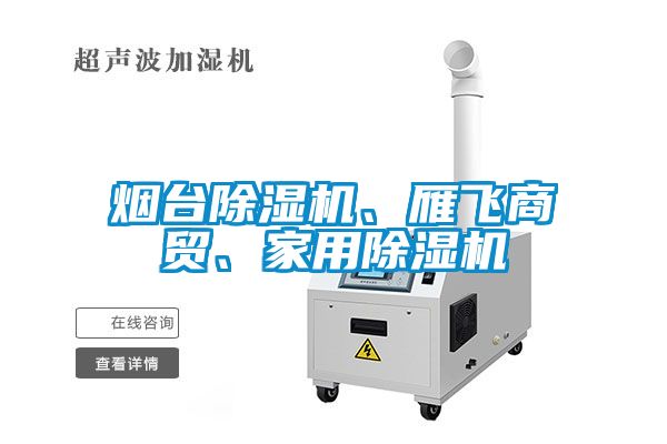 煙臺除濕機(jī)、雁飛商貿(mào)、家用除濕機(jī)